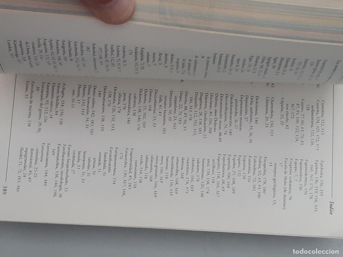 Libros de segunda mano: Rocas y minerales Pat Bell - Foto 5