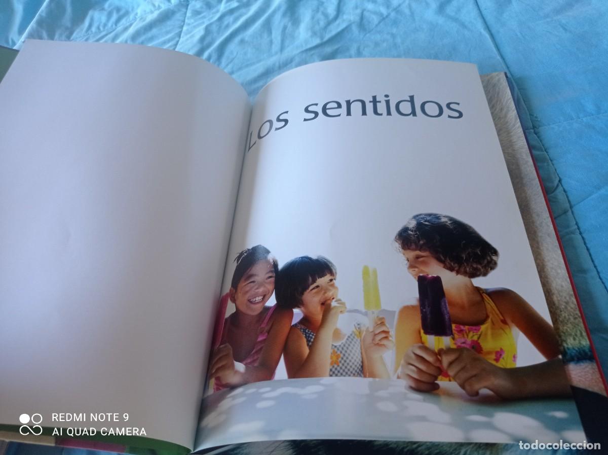 Libros de segunda mano: LOS SENTIDOS / JINNY JOHNSON / GRAVOL 31 / EDILUPA - Foto 4