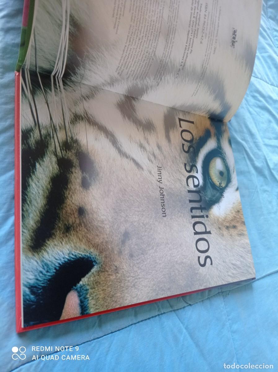 Libros de segunda mano: LOS SENTIDOS / JINNY JOHNSON / GRAVOL 31 / EDILUPA - Foto 6