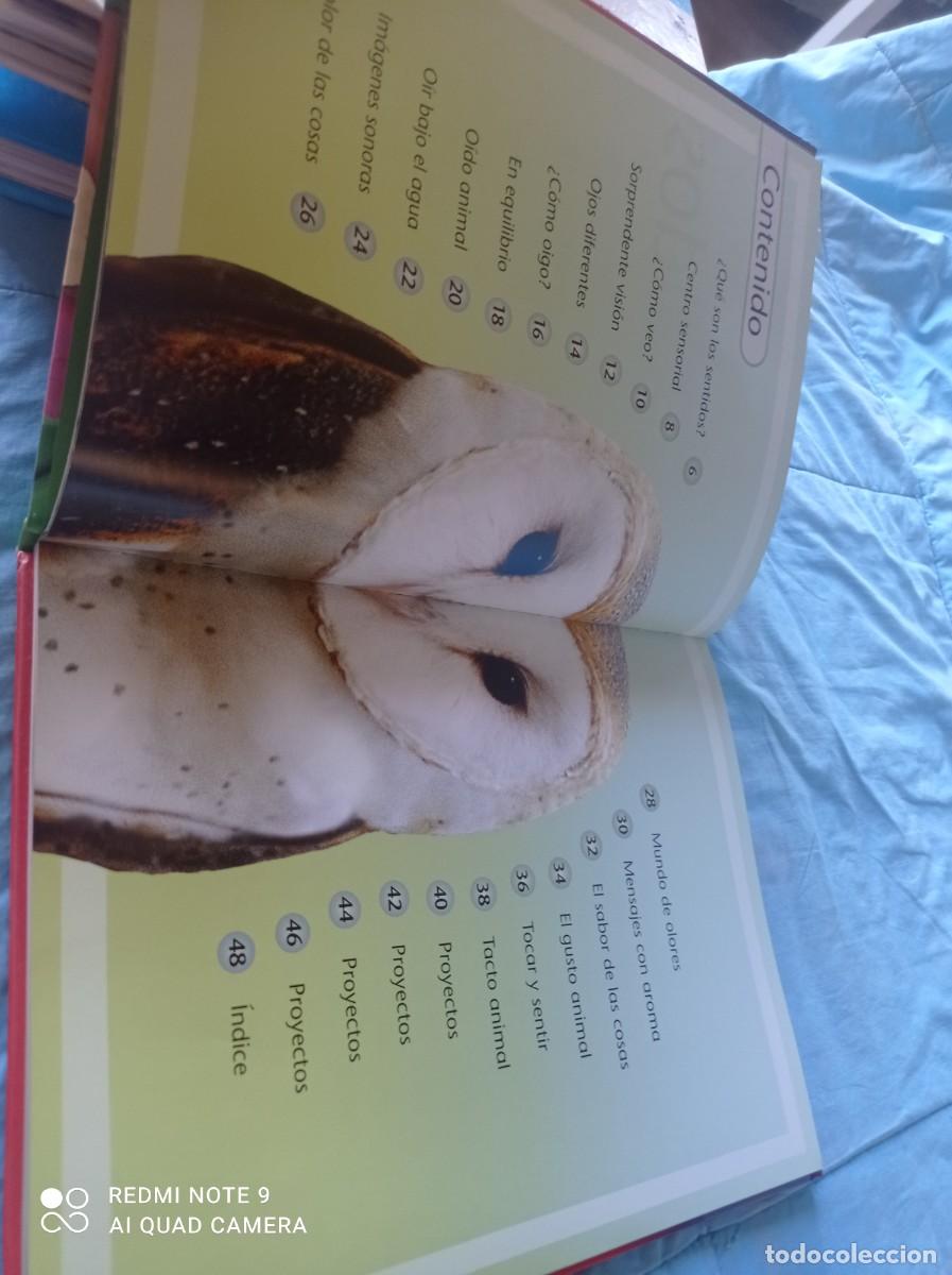 Libros de segunda mano: LOS SENTIDOS / JINNY JOHNSON / GRAVOL 31 / EDILUPA - Foto 7