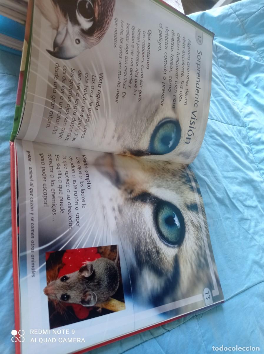 Libros de segunda mano: LOS SENTIDOS / JINNY JOHNSON / GRAVOL 31 / EDILUPA - Foto 11