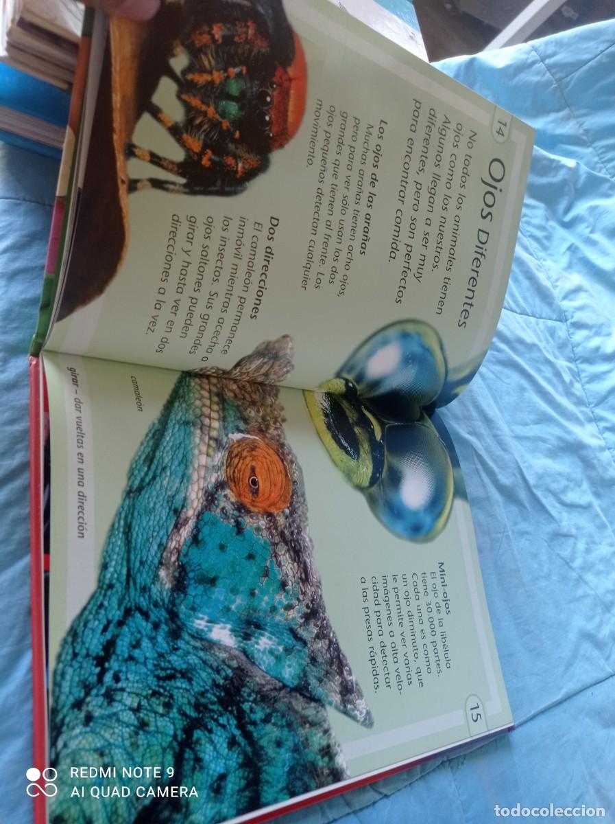 Libros de segunda mano: LOS SENTIDOS / JINNY JOHNSON / GRAVOL 31 / EDILUPA - Foto 12