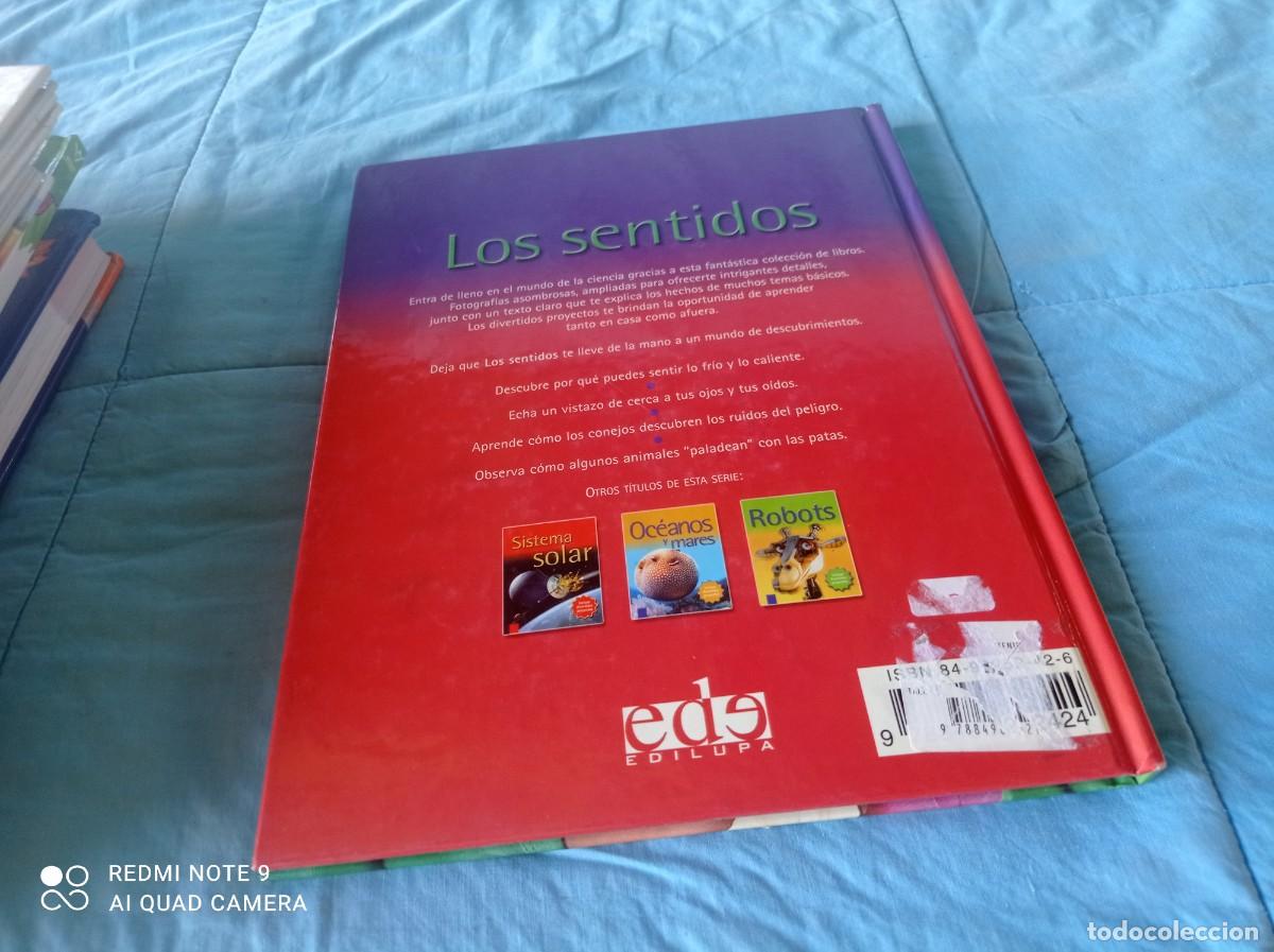 Libros de segunda mano: LOS SENTIDOS / JINNY JOHNSON / GRAVOL 31 / EDILUPA - Foto 15