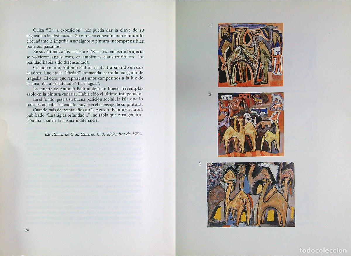 Libros de segunda mano: ANTONIO PADR&Oacute;N - &Aacute;NGELES ALEM&Aacute;N - 1989 - CANARIAS - Foto 2
