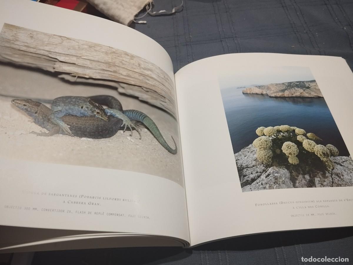 Libros de segunda mano: CABRERA LILLA SENSE NOM BIEL SERVERA / MIQUEL RAYO 2000 - Foto 3