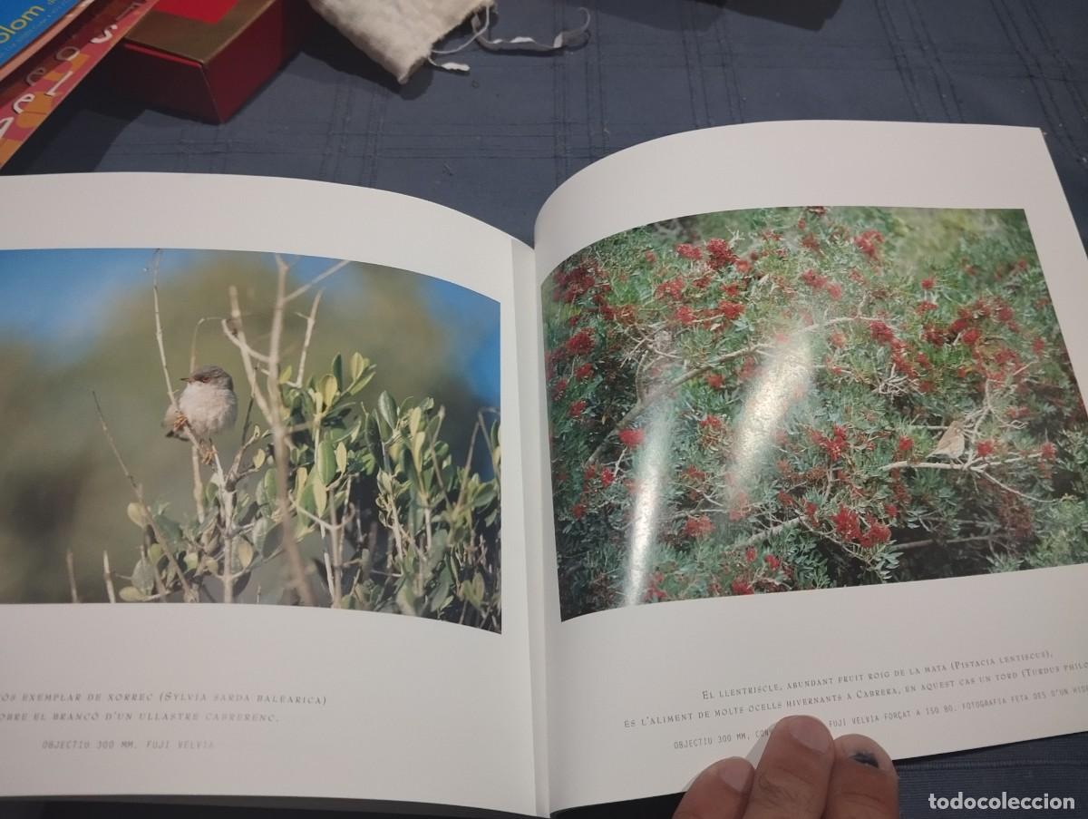 Libros de segunda mano: CABRERA LILLA SENSE NOM BIEL SERVERA / MIQUEL RAYO 2000 - Foto 7