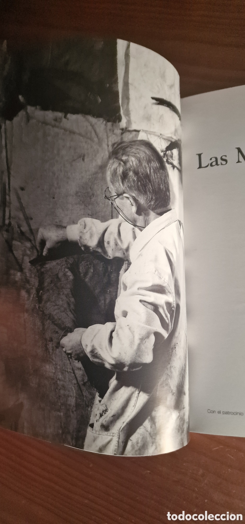 Libros de segunda mano: Las Meninas de Vald&eacute;s - Manolo Vald&eacute;s - Foto 4