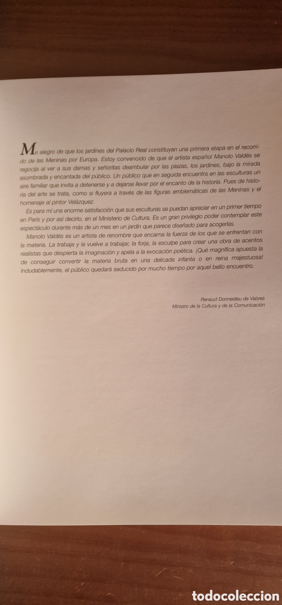 Libros de segunda mano: Las Meninas de Vald&eacute;s - Manolo Vald&eacute;s - Foto 5