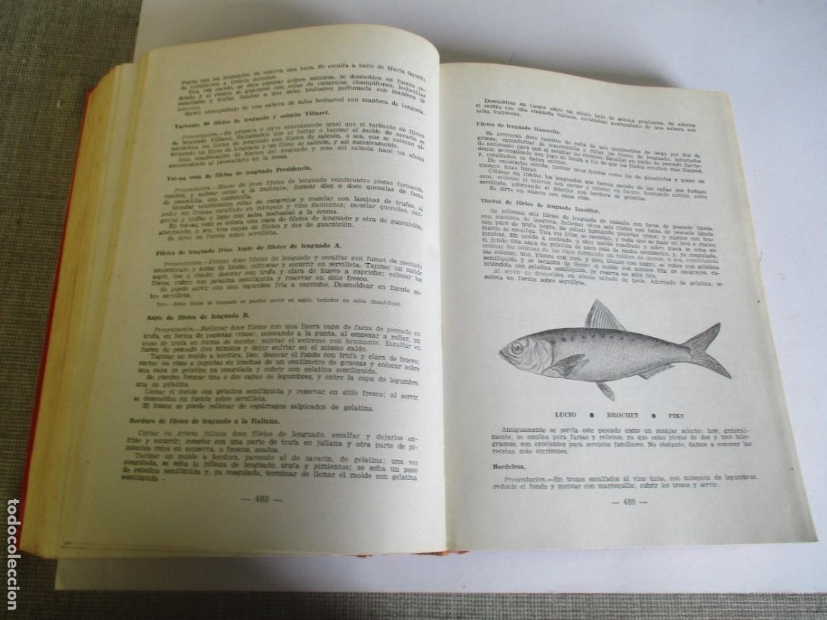 Libros de segunda mano: JOS&Eacute; SARRAU Educaci&oacute;n profesional hostelera W28178 - Foto 5