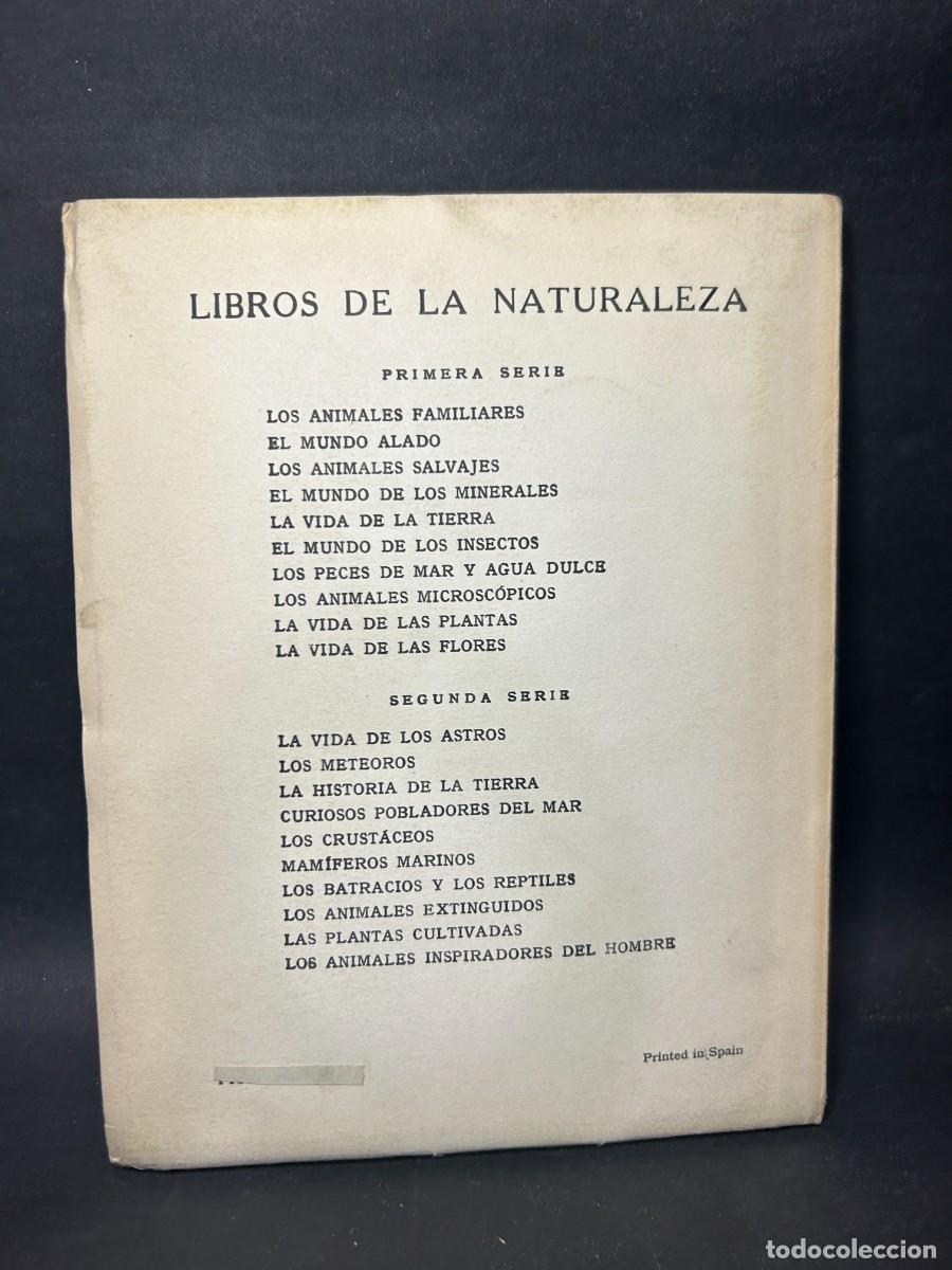 Libros de segunda mano: JOS&Eacute; TINOCO - LA VIDA DE LOS ASTROS - 1955 - Foto 4