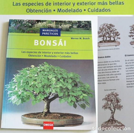 bonsi libro werner m busch modelado cuidado co - Compra venta en  todocoleccion