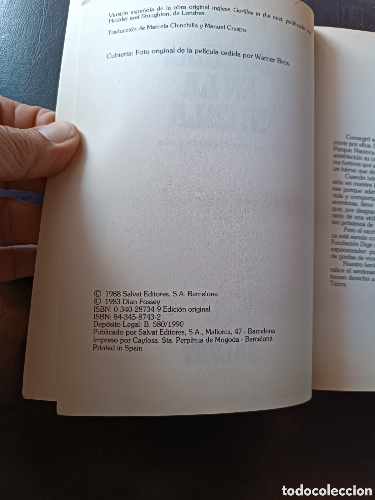 Libros de segunda mano: Gorilas en la niebla, Dian Fossey - Foto 3