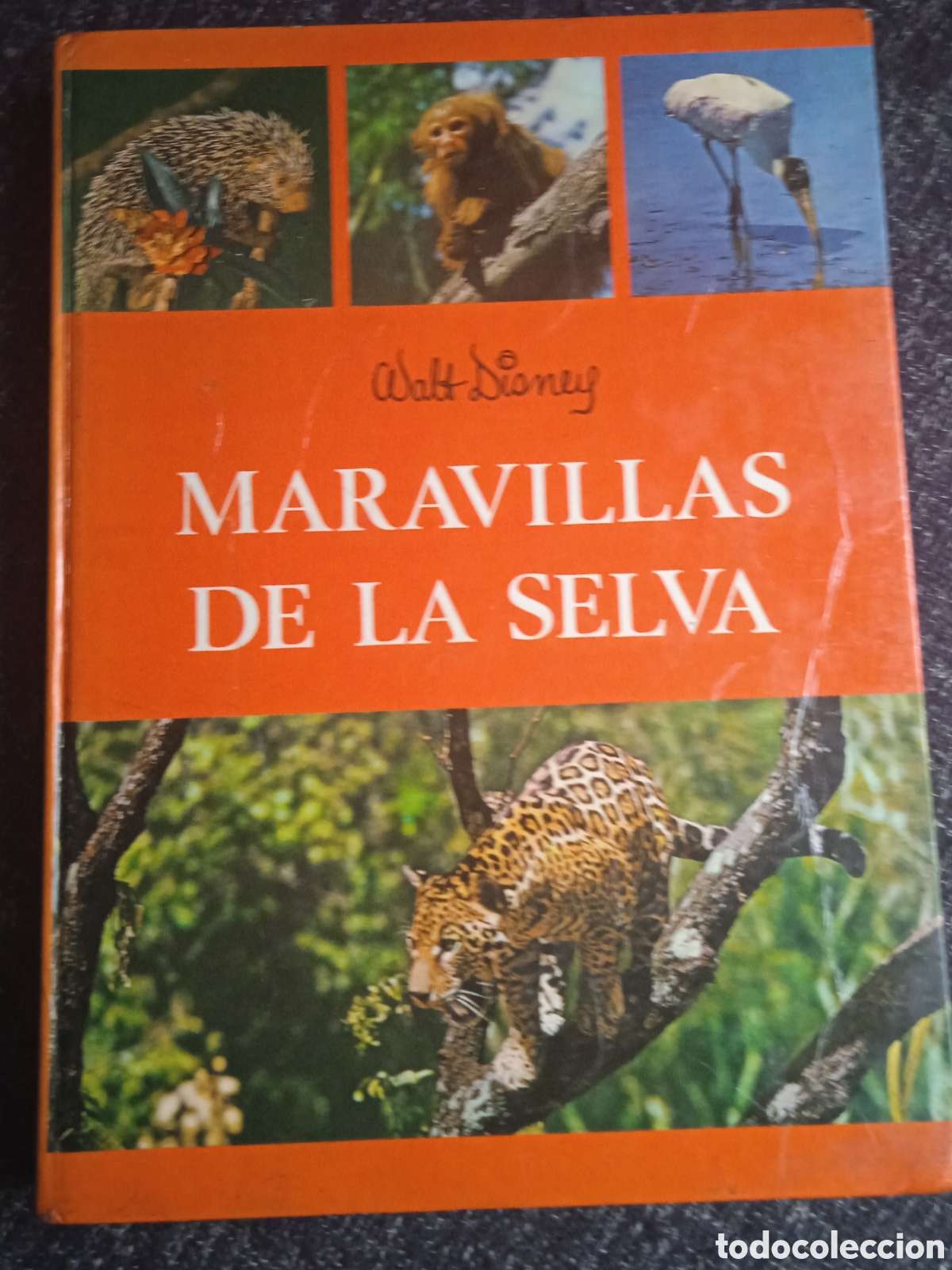 Libros de segunda mano: MARAVILLAS DE LA SELVA. WALT DISNEY. - Foto 1