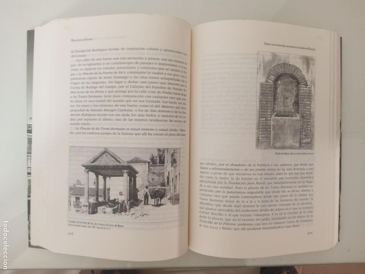 Libros de segunda mano: MISCEL&Aacute;NEA DE GRANADA - C&Eacute;SAR GIR&Oacute;N - 2&ordf; EDICI&Oacute;N CORREGIDA Y AMPLIADA 1999 EDITORIAL COMARES - Foto 8