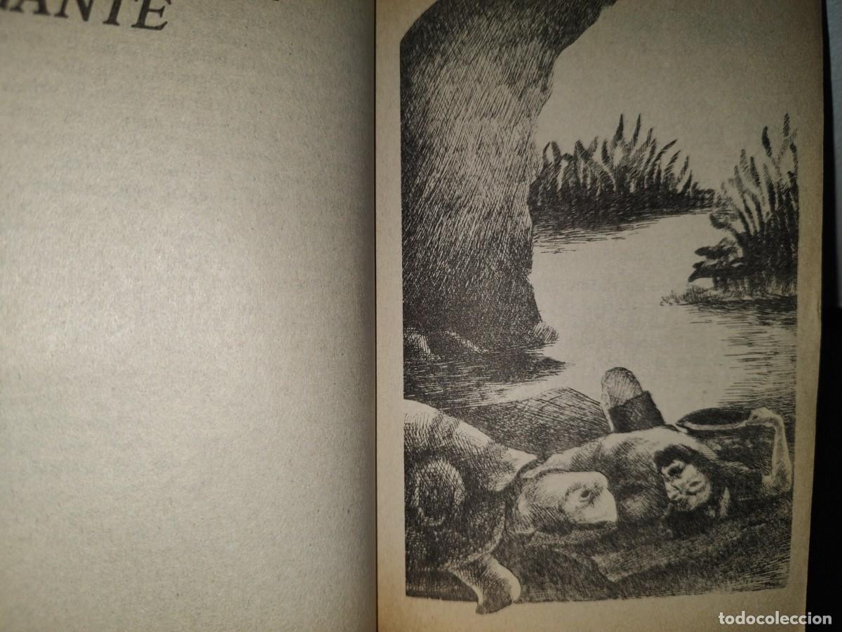 Libros de segunda mano: 87- CUENTOS DE LA SELVA - HORACIO QUIROGA - Foto 8