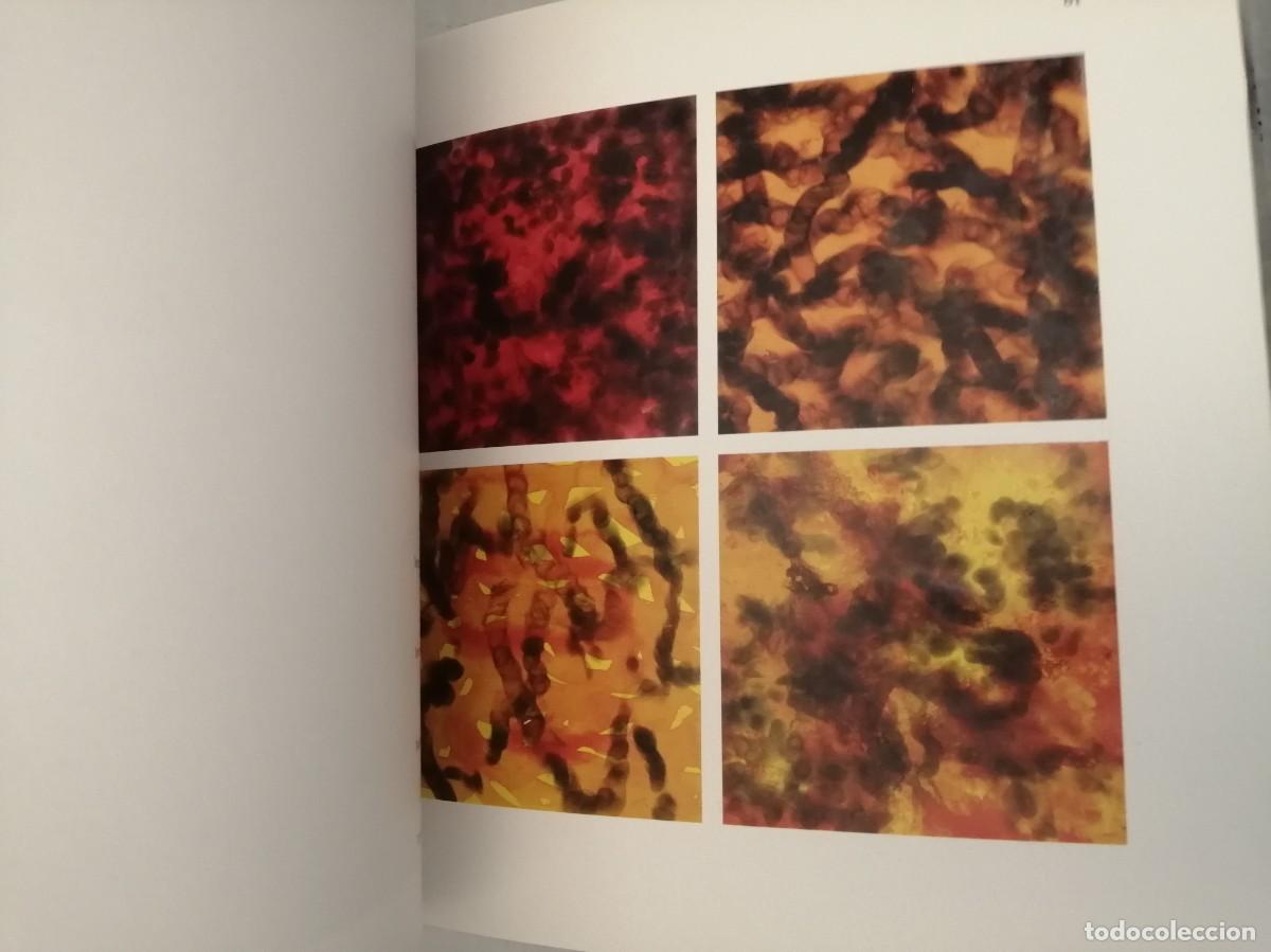 Libros de segunda mano: TORREGAR. Pasiones. Passions (tapa dura) - Foto 3
