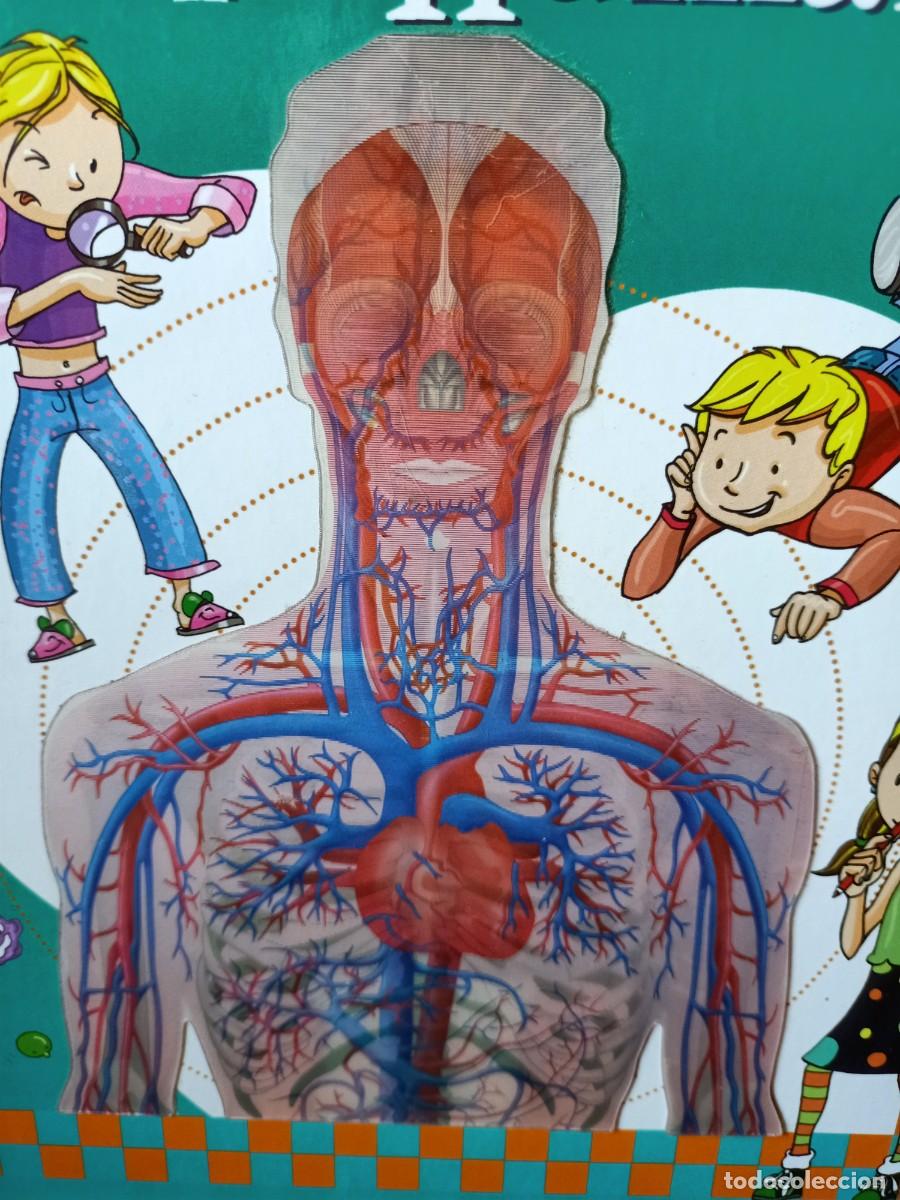 Libros de segunda mano: DESCUBRIR EL CUERPO HUMANO. EDILUPA EDICIONES. - Foto 7
