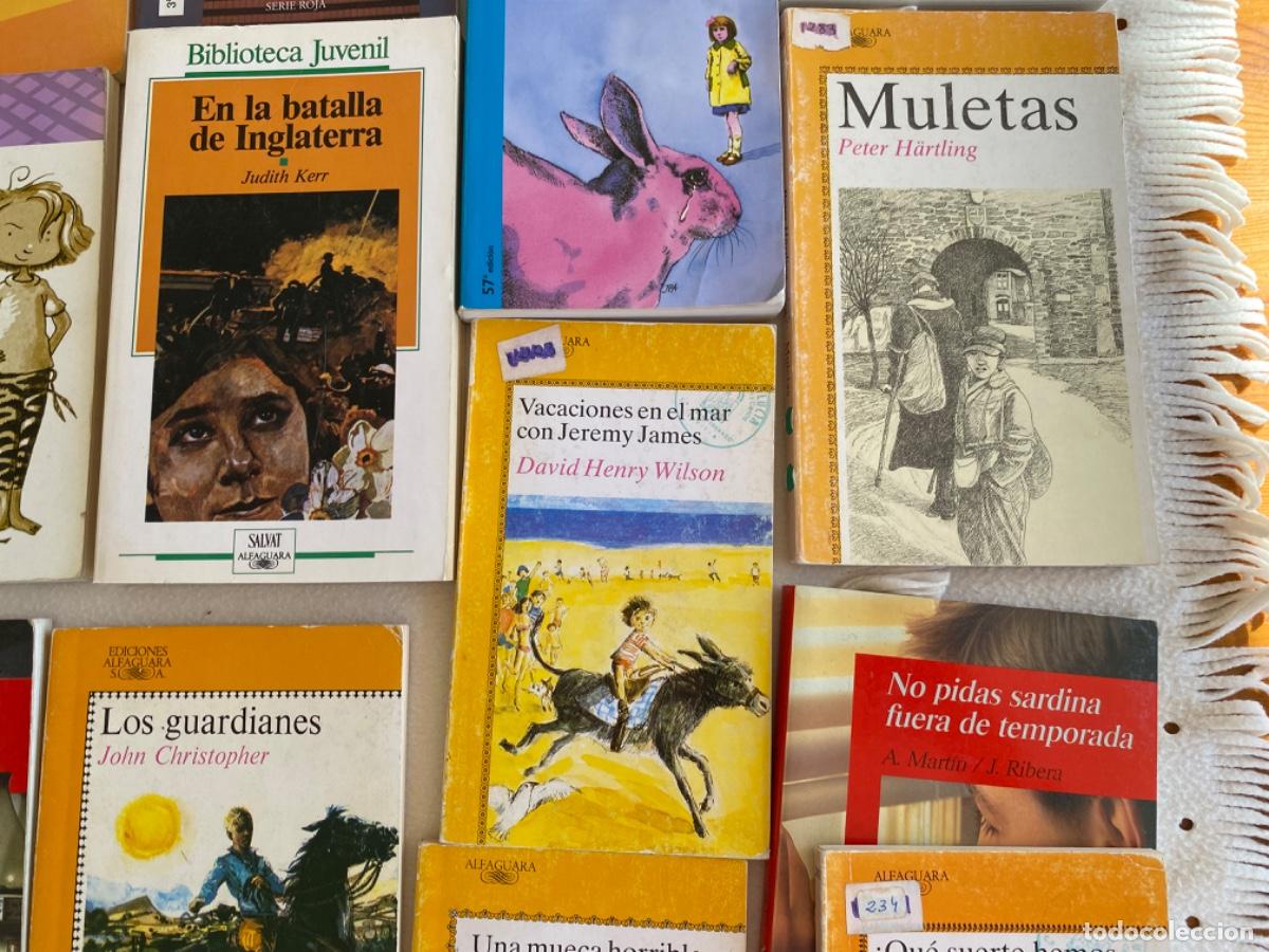 Libros de segunda mano: LOTE ALFAGUARA JUVENIL - Foto 9