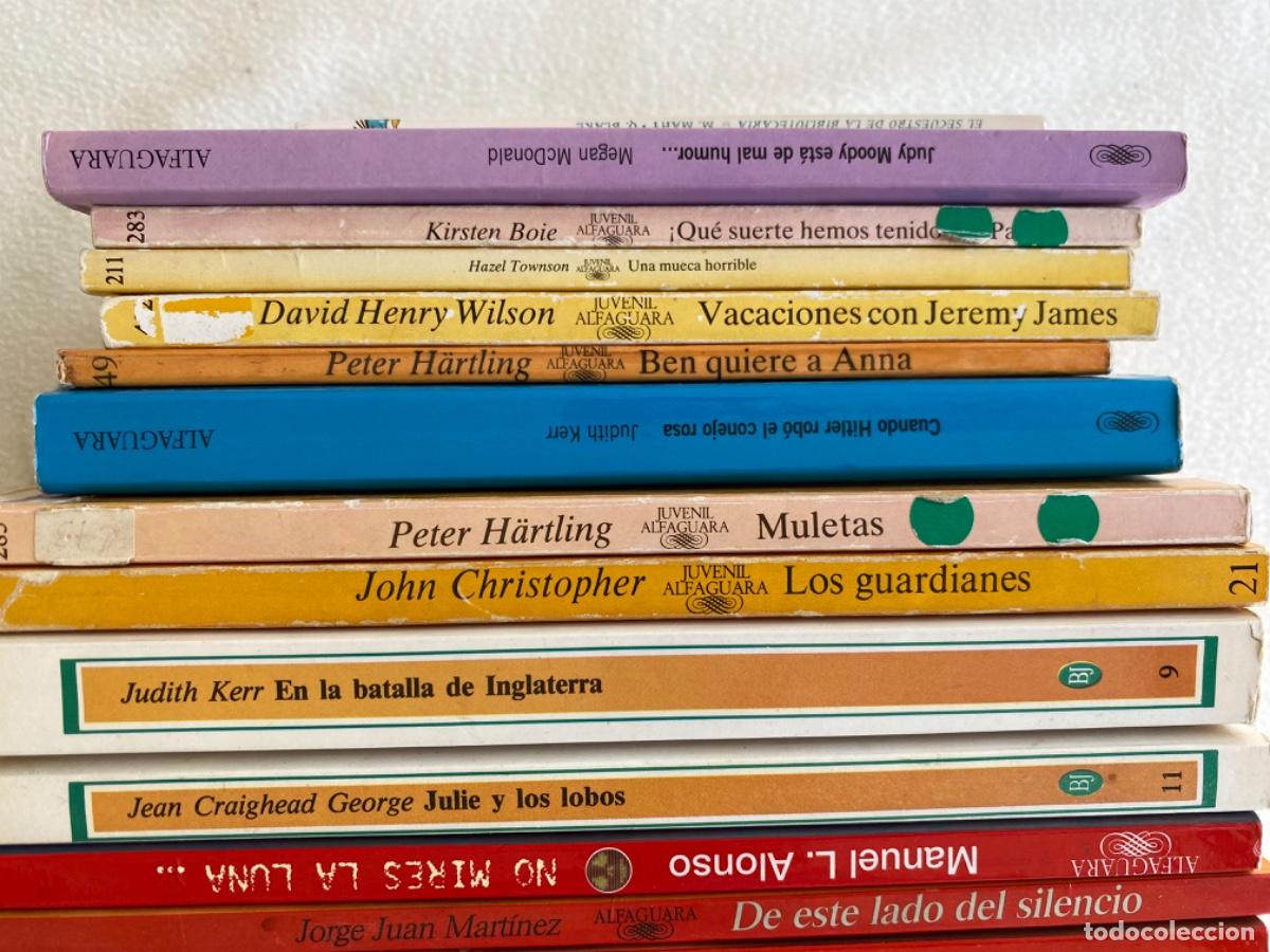 Libros de segunda mano: LOTE ALFAGUARA JUVENIL - Foto 11