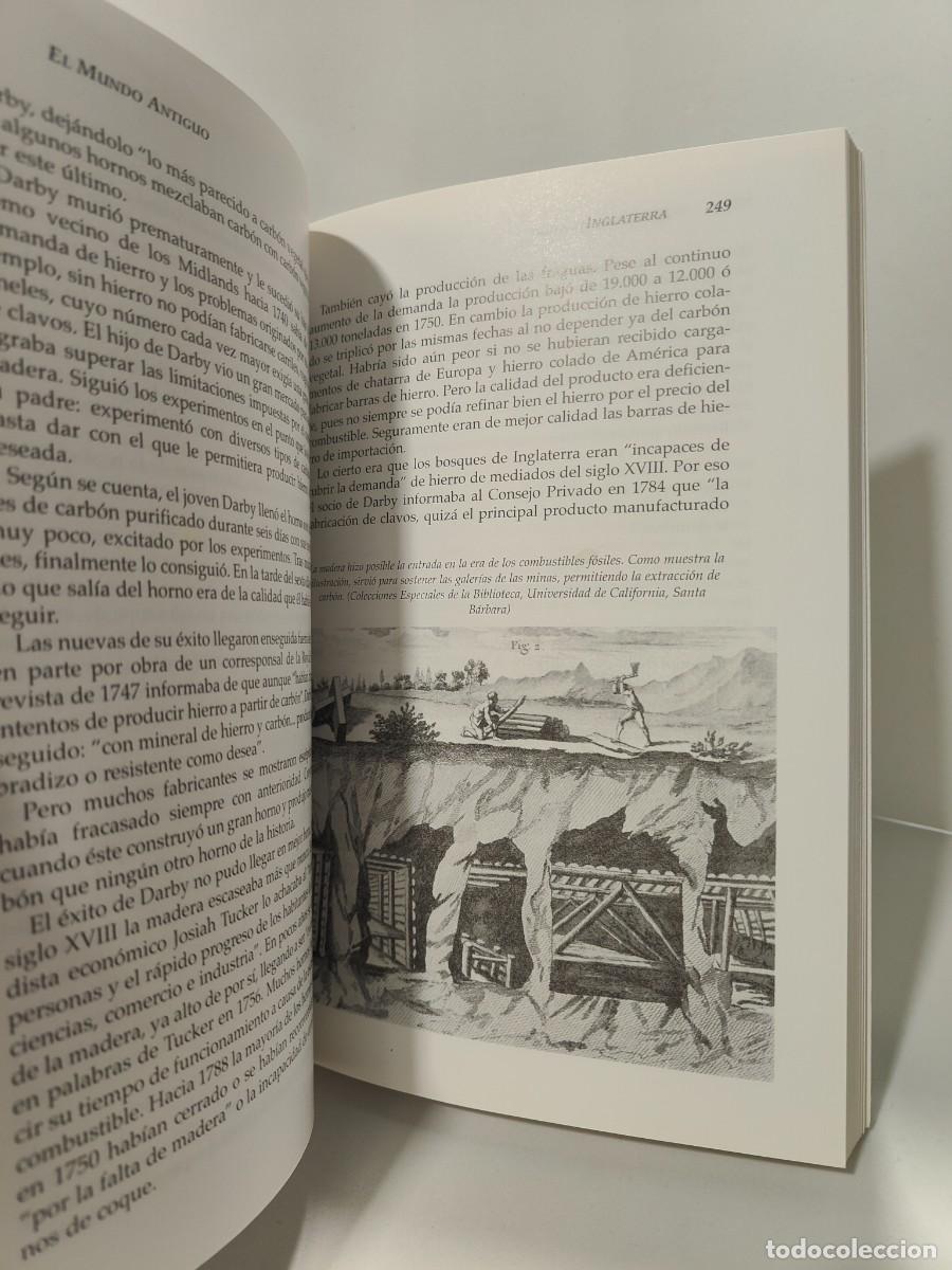 Libros de segunda mano: HISTORIA DE LOS BOSQUES - John Perlin ~ - Foto 16