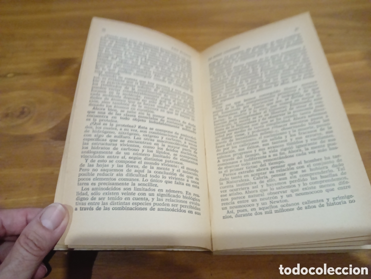 Libros de segunda mano: John Roddam. La mente cambiante - Foto 5