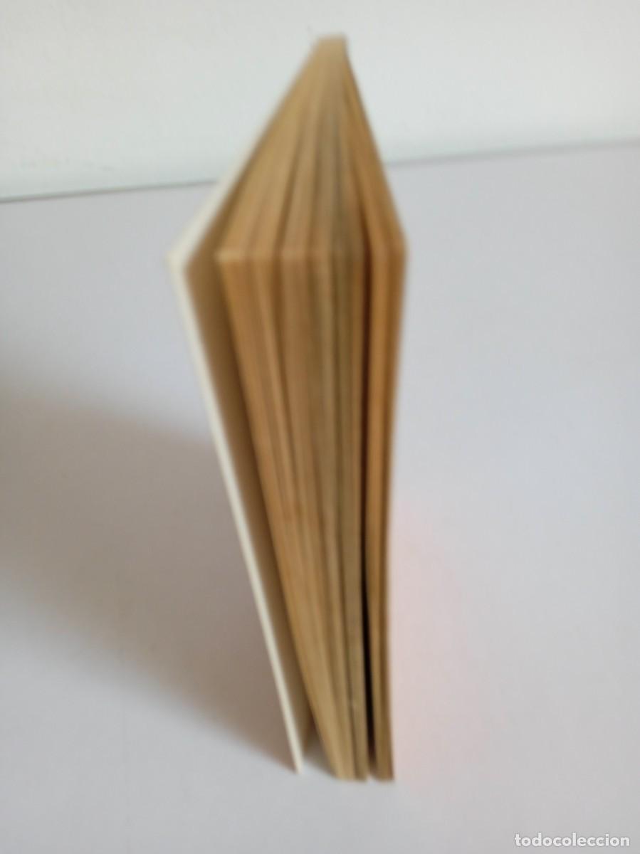 Libros de segunda mano: TIPYCOLL-ORG&Iacute;A Jos&eacute; Lu&iacute;s Coll y Lu&iacute;s S&aacute;nchez Polak - Foto 3