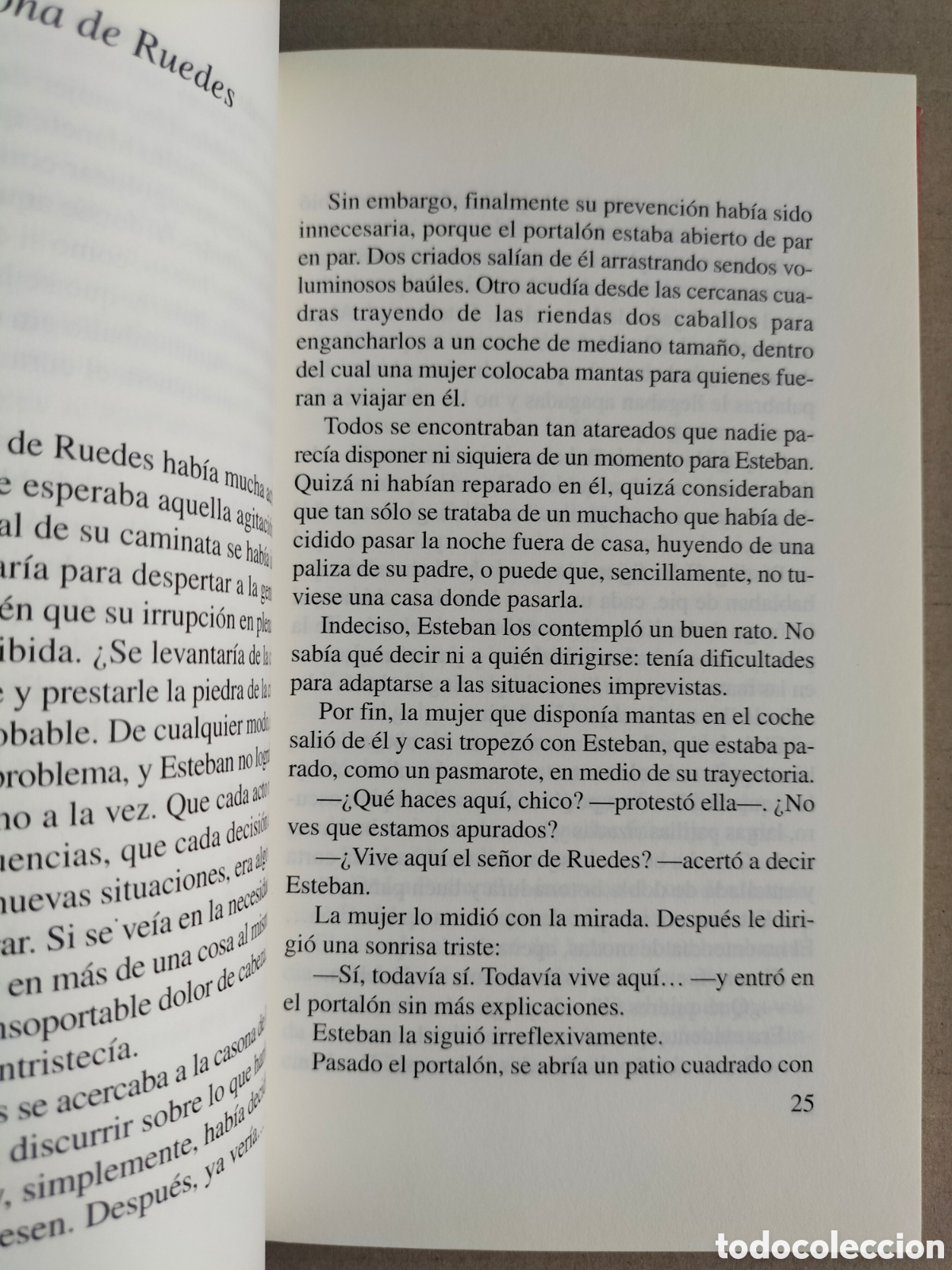 Libros de segunda mano: La piedra de la culebra. Milio Rodr&iacute;guez Cueto. Edeb&eacute;, 2007. Libro - Foto 5