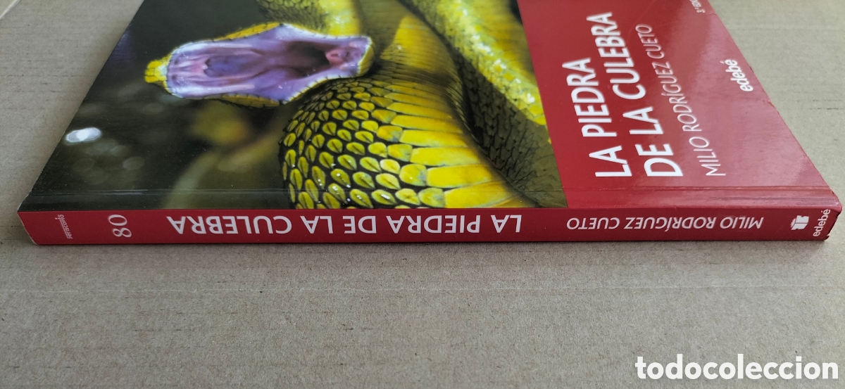 Libros de segunda mano: La piedra de la culebra. Milio Rodr&iacute;guez Cueto. Edeb&eacute;, 2007. Libro - Foto 9