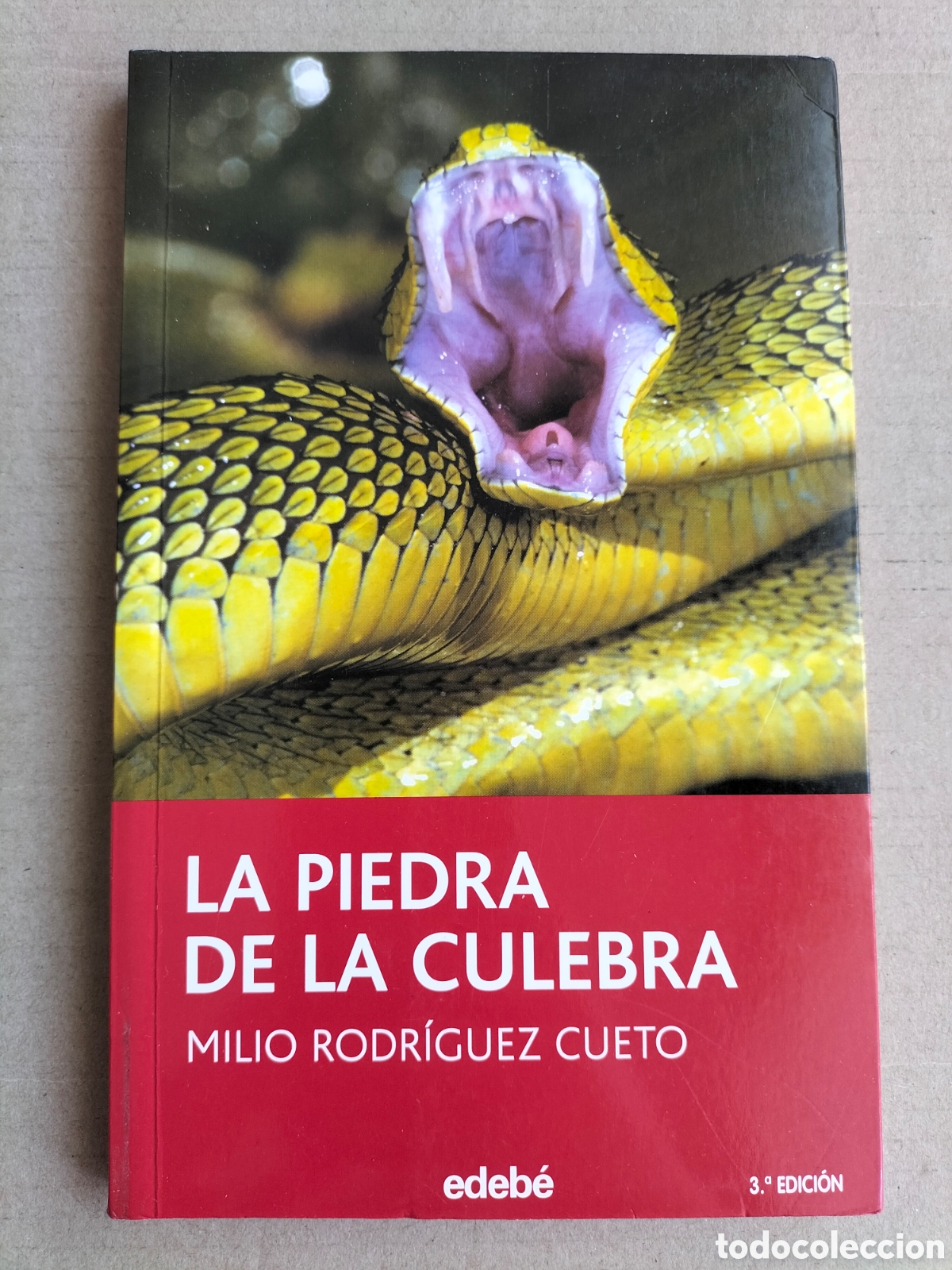 Libros de segunda mano: La piedra de la culebra. Milio Rodr&iacute;guez Cueto. Edeb&eacute;, 2007. Libro - Foto 1