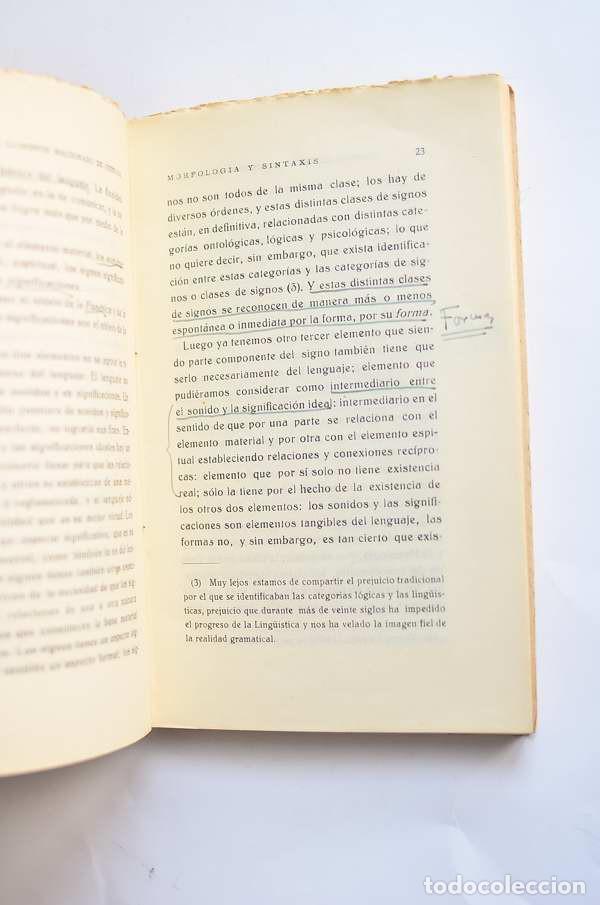 Libros de segunda mano: Morfolog&iacute;a y sintaxis. El problema de la divisi&oacute;n de la gram&aacute;tica - LLORENTE MALDONADO DE GUEVARA, A - Foto 3