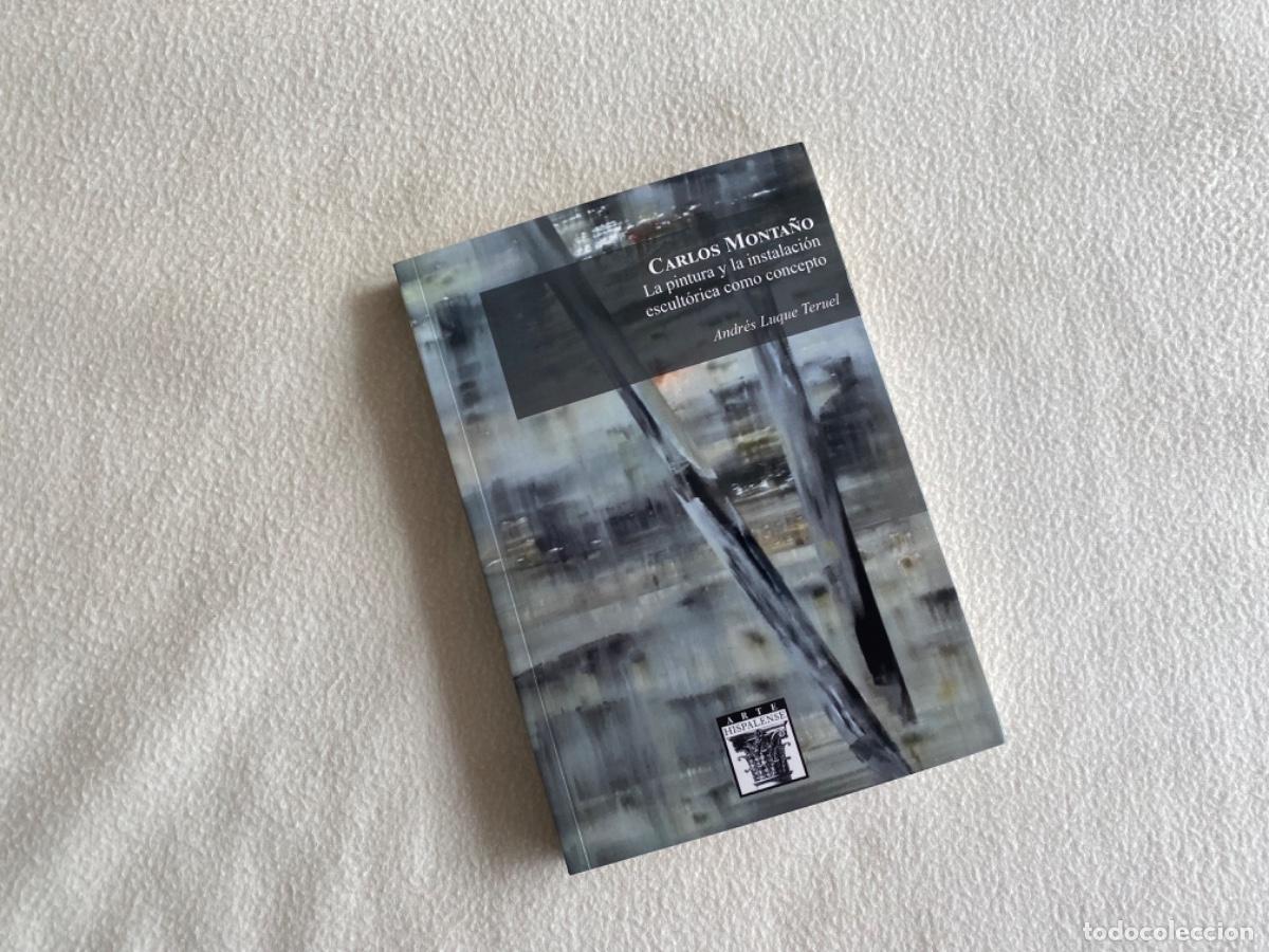Gebrauchte B&uuml;cher: Andr&eacute;s Luque Teruel Carlos Monta&ntilde;o. La pintura y la instalaci&oacute;n escult&oacute;rica como concepto: 127 (Arte