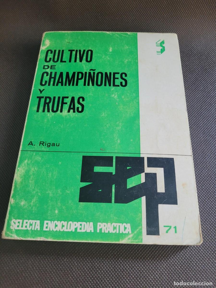Libros de segunda mano: LIBRO CULTIVO DE CHAMPI&Ntilde;ONES Y TRUFAS 1968 - Foto 1