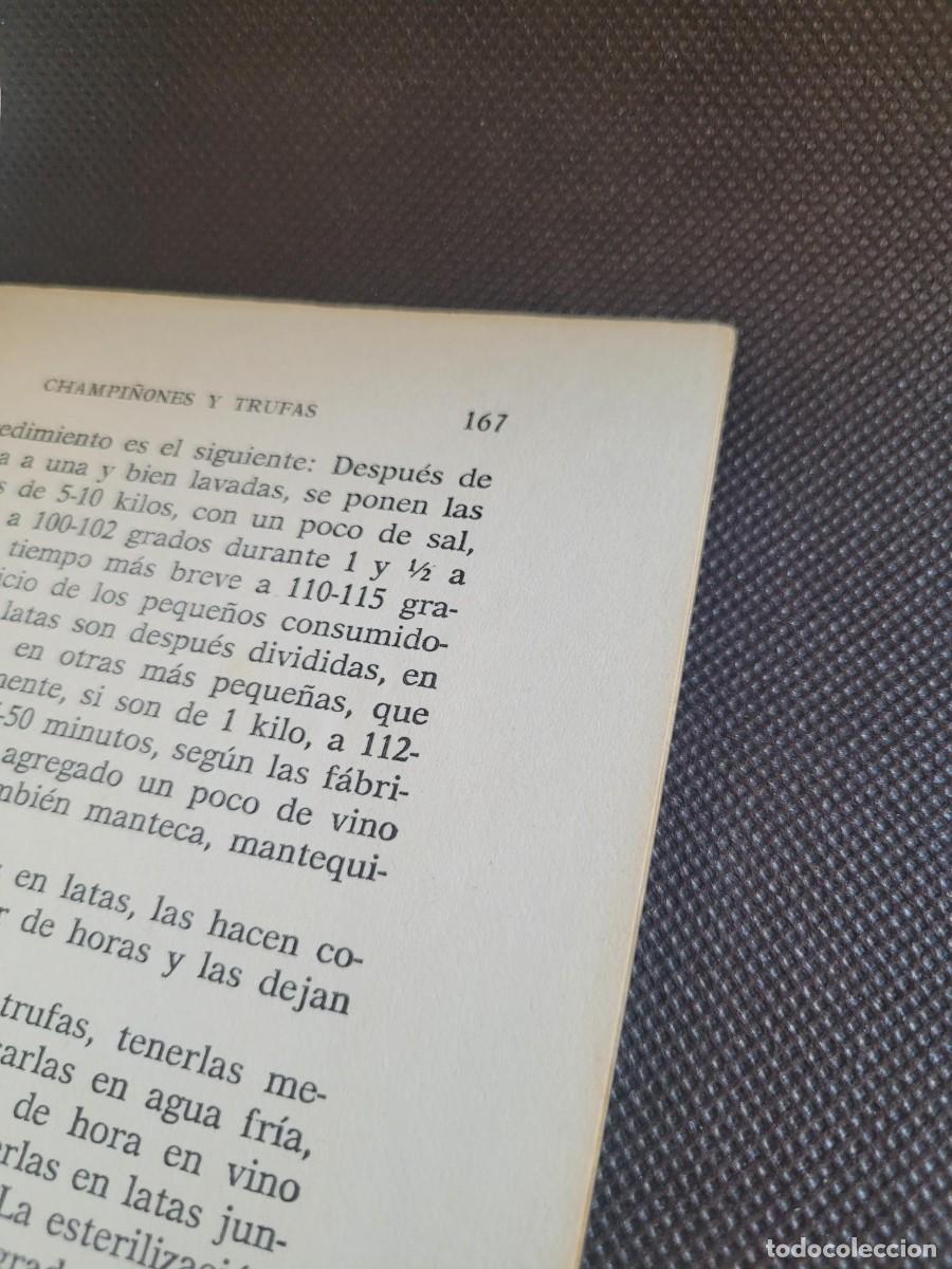 Libros de segunda mano: LIBRO CULTIVO DE CHAMPI&Ntilde;ONES Y TRUFAS 1968 - Foto 2