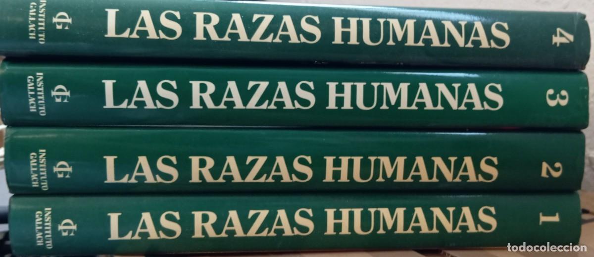 Libros de segunda mano: LAS RAZAS HUMANAS - OCEANO/INSTITUTO GALLACH - 4 TOMOS - Foto 1