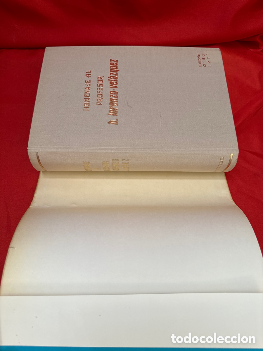 Libros de segunda mano: HOMENAJE AL PROFESOR LORENZO VELAZQUEZ - Foto 2