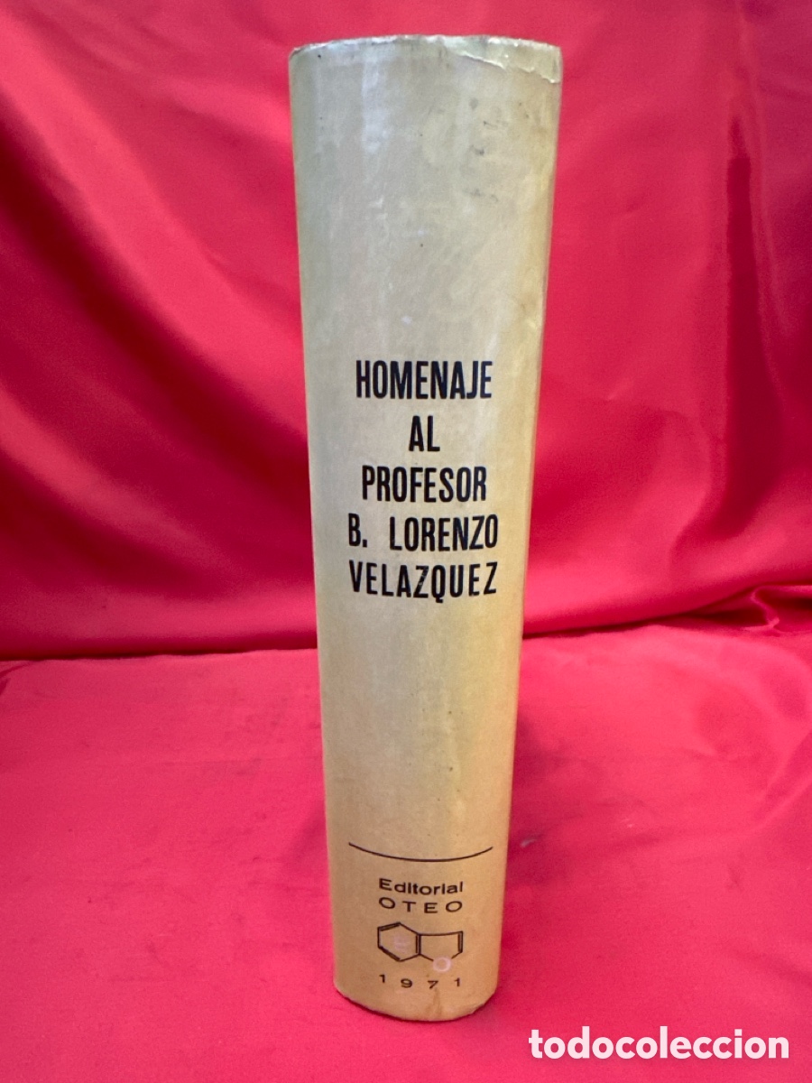 Libros de segunda mano: HOMENAJE AL PROFESOR LORENZO VELAZQUEZ - Foto 12
