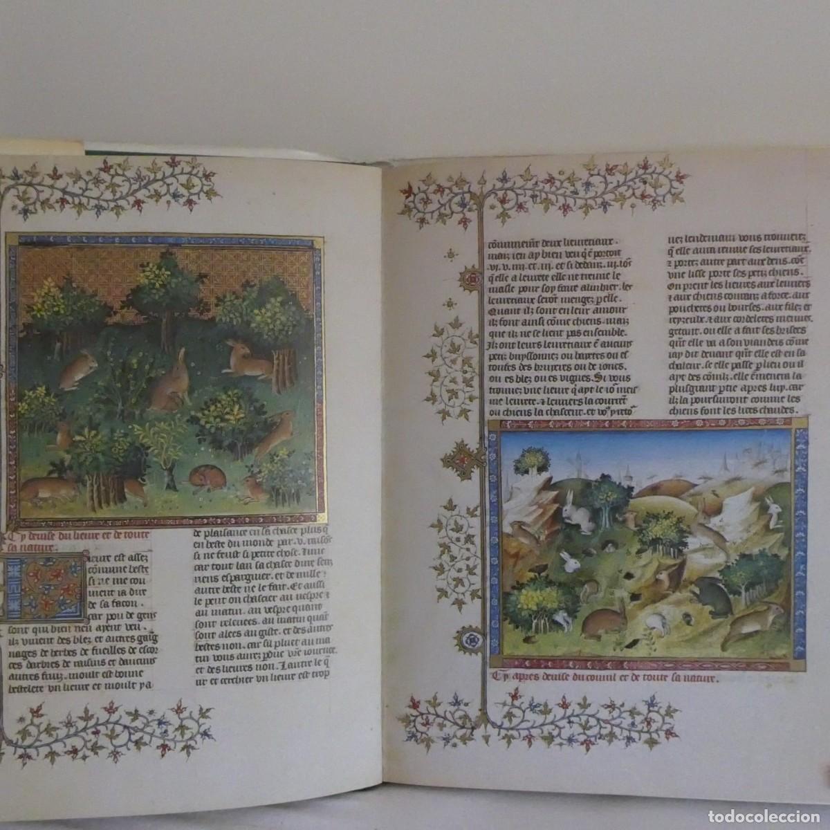 Libros de segunda mano: EL LIBRO DE LA CAZA de Gaston Phoebus - Foto 3