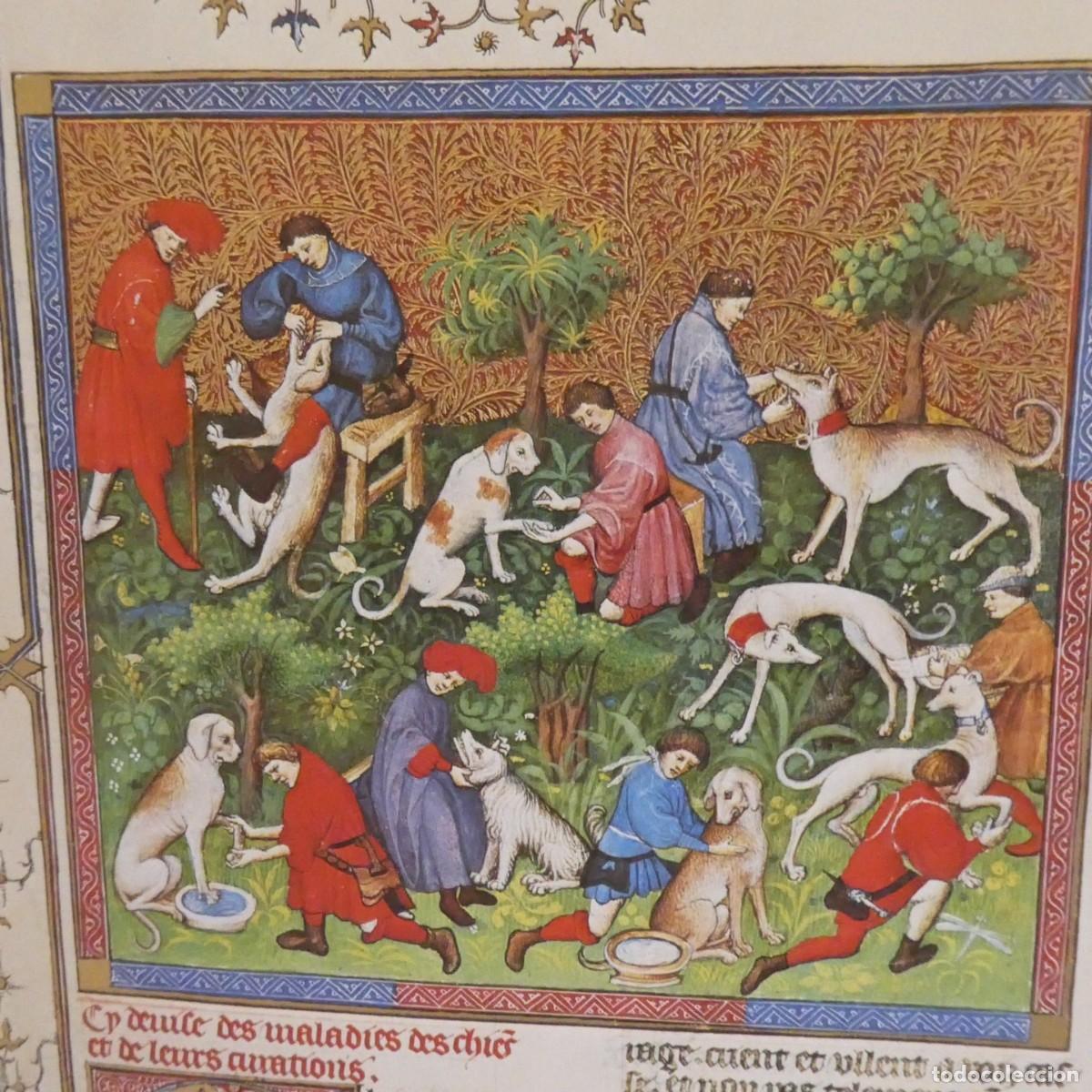 Libros de segunda mano: EL LIBRO DE LA CAZA de Gaston Phoebus - Foto 5