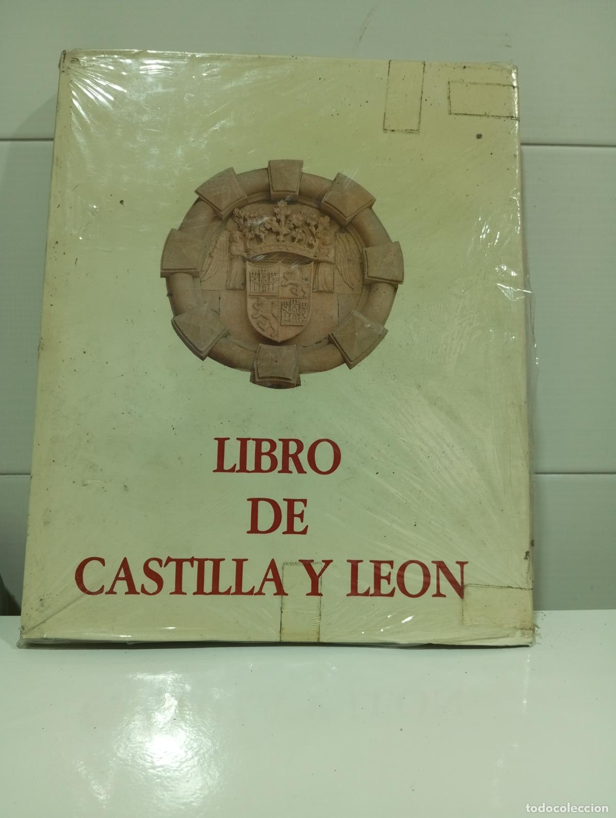 Libros de segunda mano: LIBRO DE CASTILLA Y LEON - Foto 1