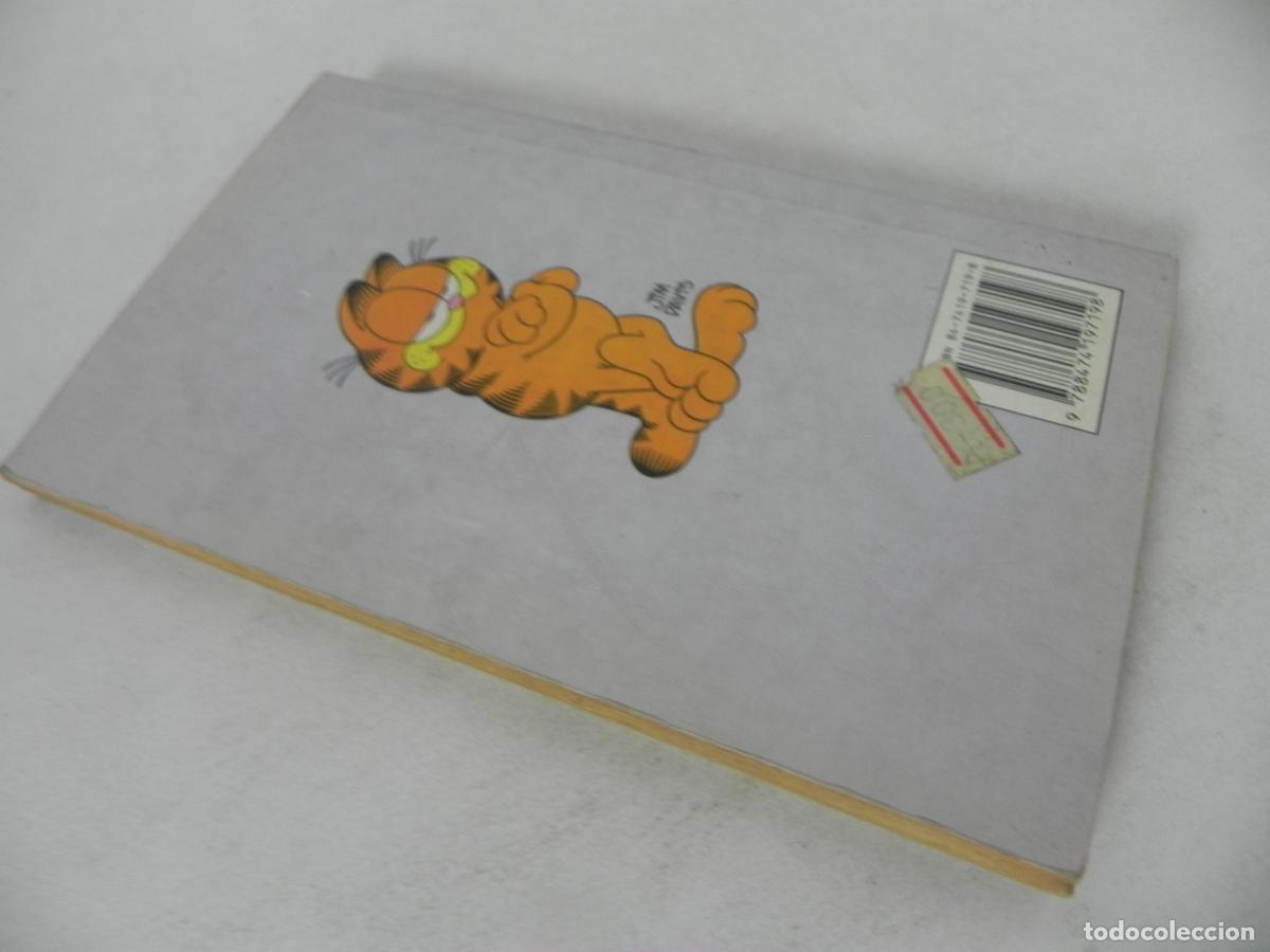 Libros de segunda mano: GARFIELD EL LIG&Oacute;N (JIM DAVIS) EDICIONES JUNIOR-1990 - Foto 5