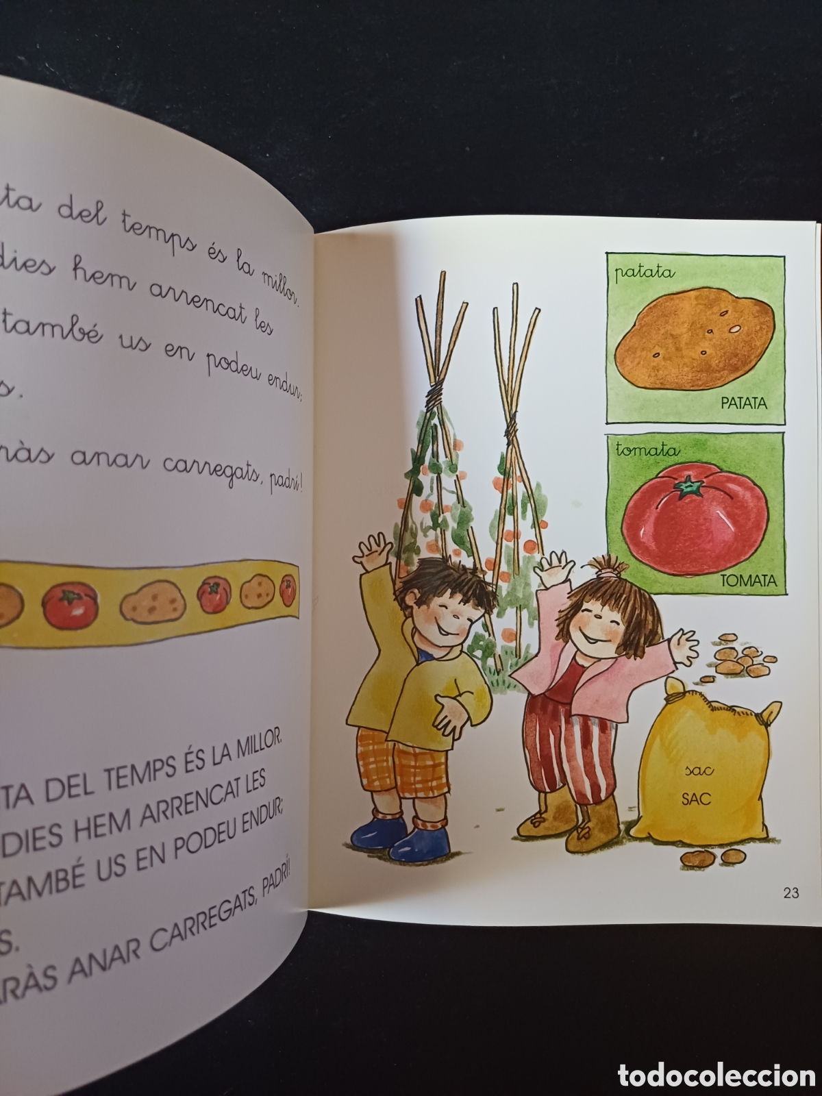 Libros de segunda mano: La tardor Teresa Sabat&eacute; Rita Culla - Foto 2