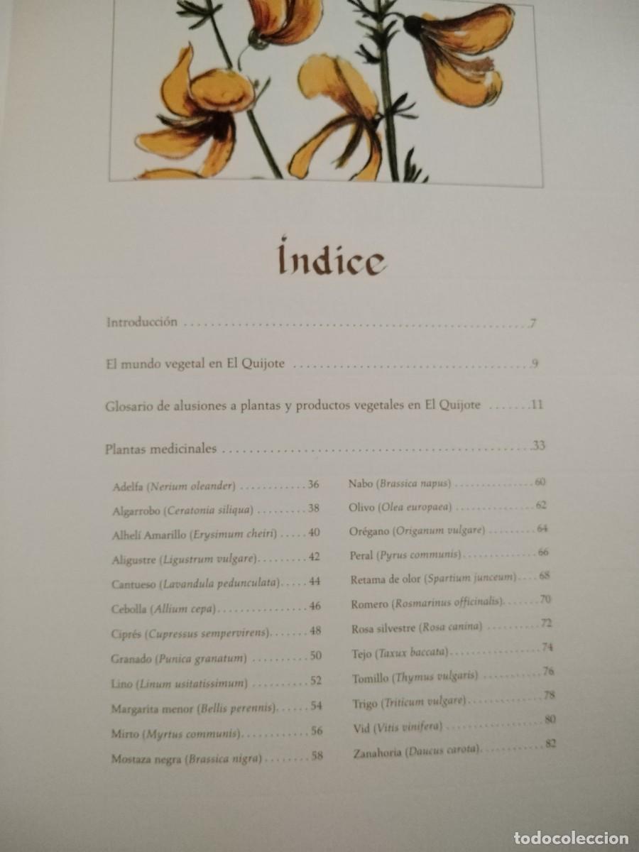 Libros de segunda mano: COMPENDIO DE PLANTAS CITADAS EN EL LIBRO EL INGENIOSO HIDALGO DON QUIJOTE DE LA MANCHA - Foto 6