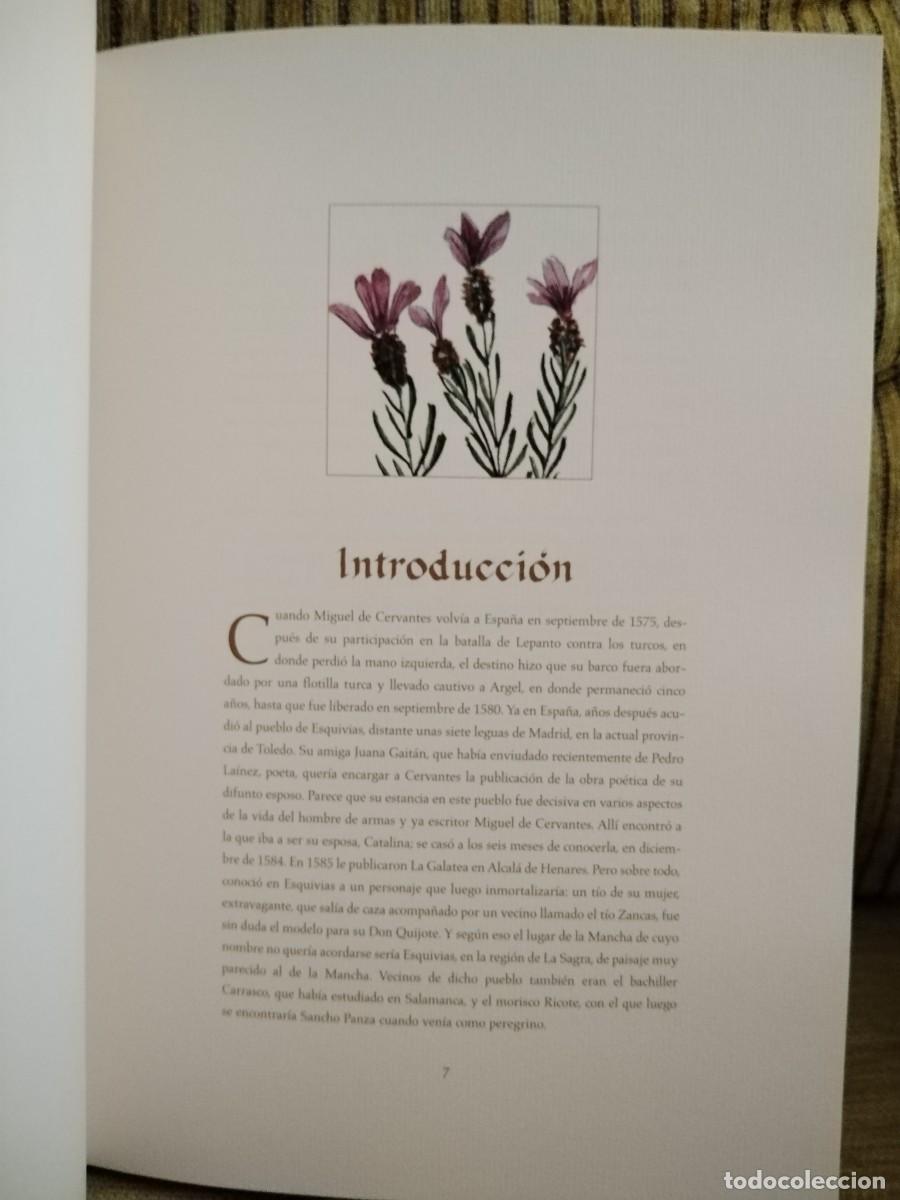 Libros de segunda mano: COMPENDIO DE PLANTAS CITADAS EN EL LIBRO EL INGENIOSO HIDALGO DON QUIJOTE DE LA MANCHA - Foto 7