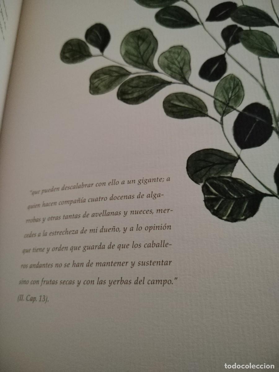 Libros de segunda mano: COMPENDIO DE PLANTAS CITADAS EN EL LIBRO EL INGENIOSO HIDALGO DON QUIJOTE DE LA MANCHA - Foto 9