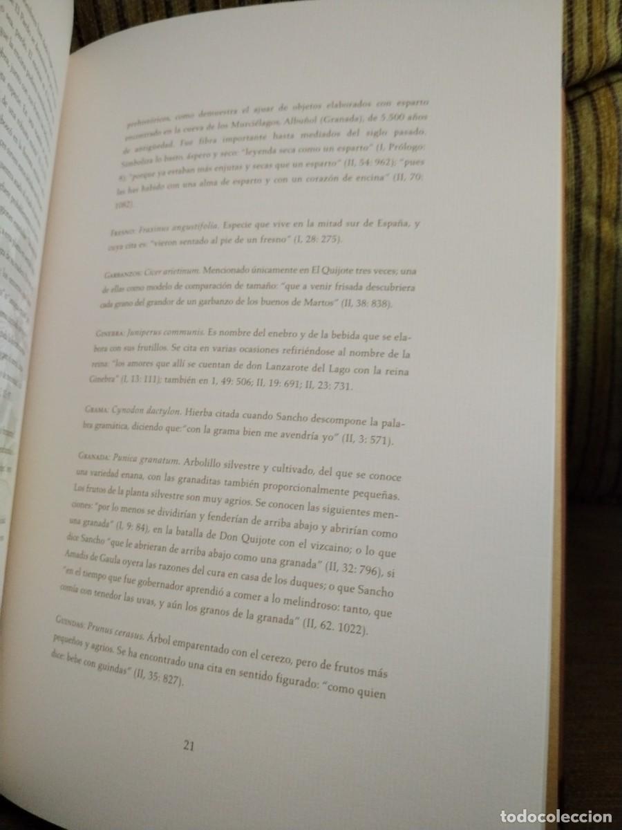 Libros de segunda mano: COMPENDIO DE PLANTAS CITADAS EN EL LIBRO EL INGENIOSO HIDALGO DON QUIJOTE DE LA MANCHA - Foto 10