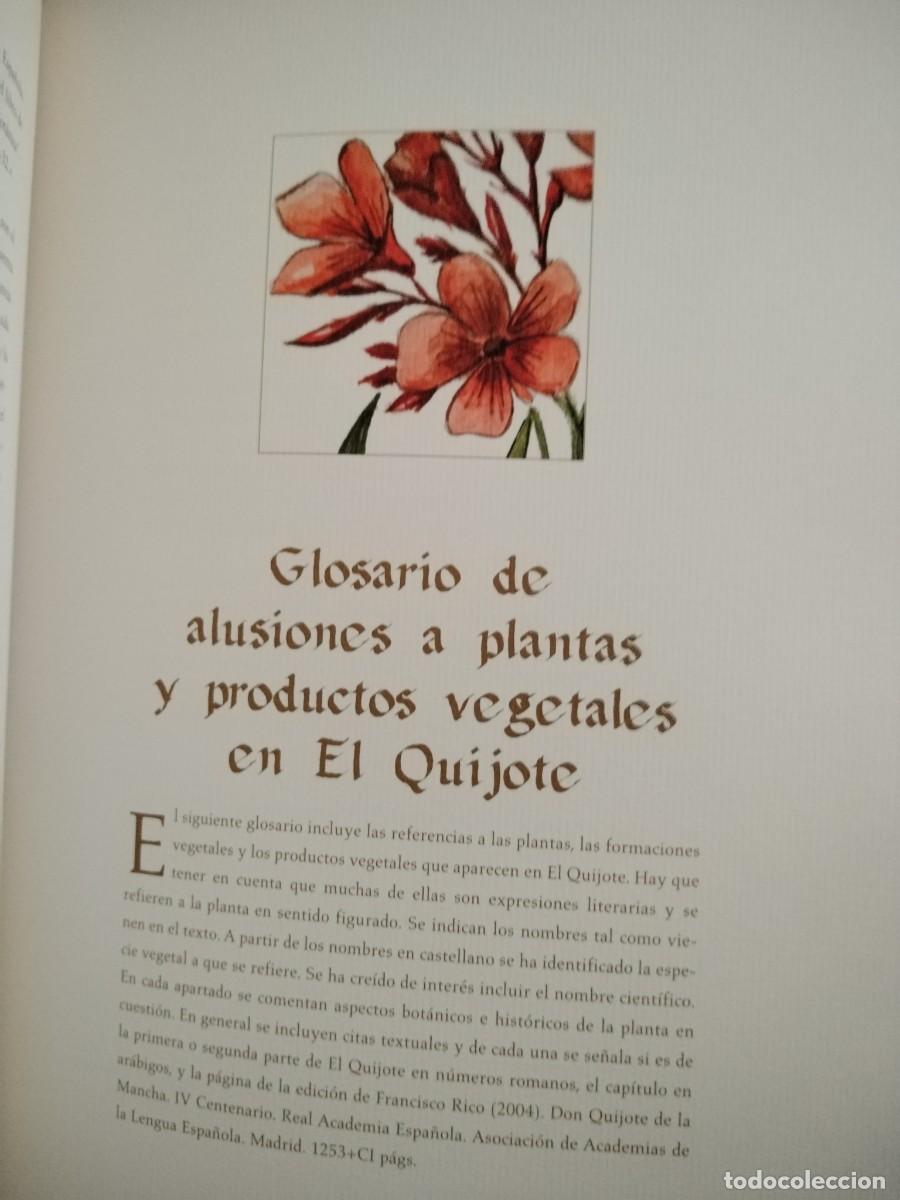 Libros de segunda mano: COMPENDIO DE PLANTAS CITADAS EN EL LIBRO EL INGENIOSO HIDALGO DON QUIJOTE DE LA MANCHA - Foto 11