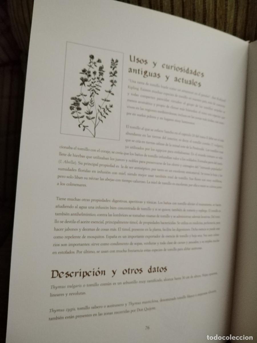Libros de segunda mano: COMPENDIO DE PLANTAS CITADAS EN EL LIBRO EL INGENIOSO HIDALGO DON QUIJOTE DE LA MANCHA - Foto 12
