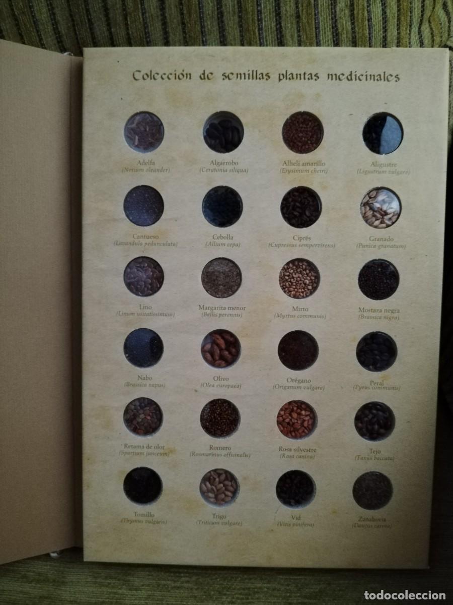 Libros de segunda mano: COMPENDIO DE PLANTAS CITADAS EN EL LIBRO EL INGENIOSO HIDALGO DON QUIJOTE DE LA MANCHA - Foto 13