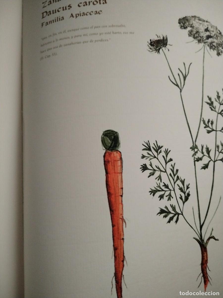 Libros de segunda mano: COMPENDIO DE PLANTAS CITADAS EN EL LIBRO EL INGENIOSO HIDALGO DON QUIJOTE DE LA MANCHA - Foto 14
