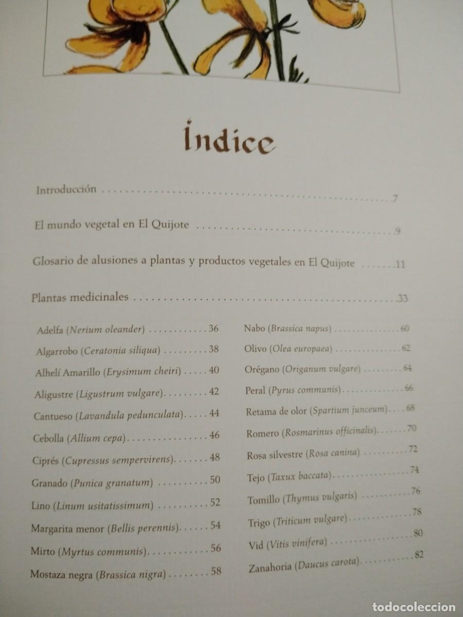 Libros de segunda mano: COMPENDIO DE PLANTAS CITADAS EN EL LIBRO EL INGENIOSO HIDALGO DON QUIJOTE DE LA MANCHA - Foto 16